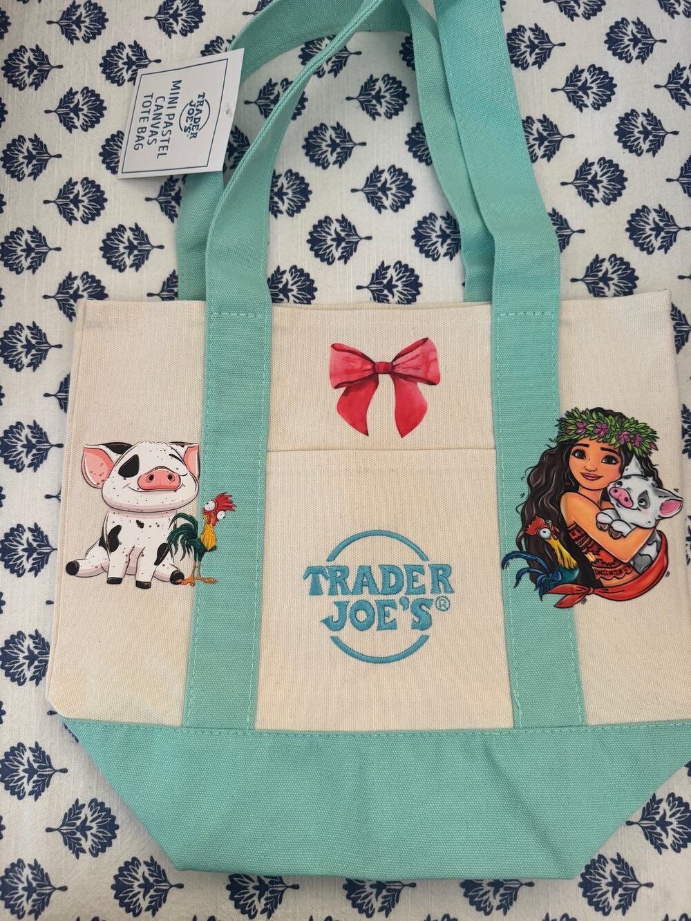 Disney Moana and Pua Custom Made Trader Joes Mini Tote